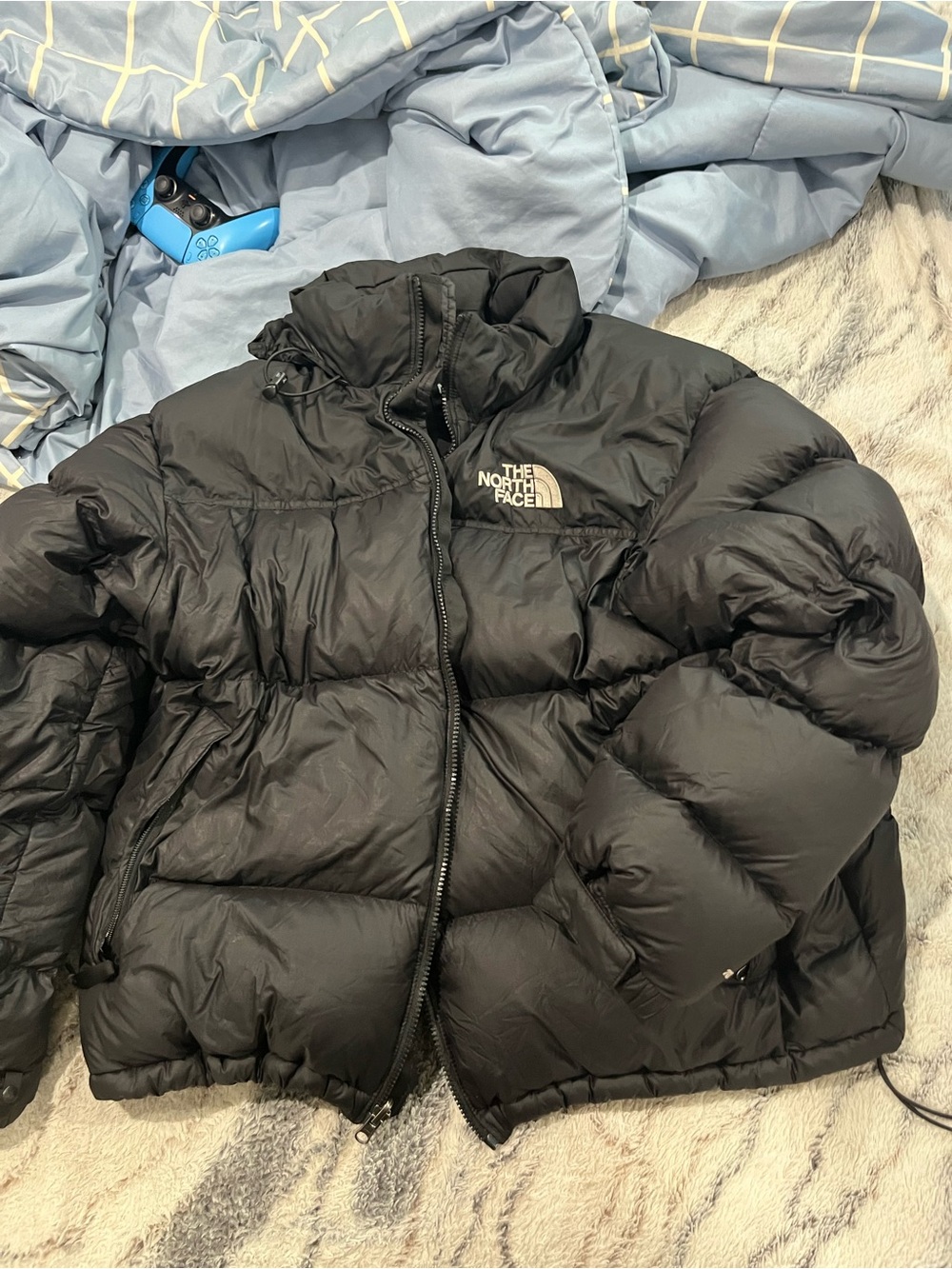 The North Face Black Men's Insulated Puffer Jacket